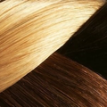 Hair Style Collection