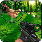 Chicken Shoot : 3D sniper Murgi Shooter иконка