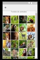 Imagenes para fondo de pantalla اسکرین شاٹ 2