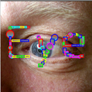 Three-Letter Words 3 FREE-APK