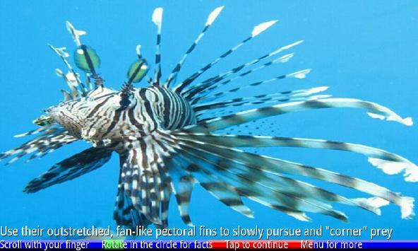 Fish Of The Coral Reef 2 Free For Android Apk Download
