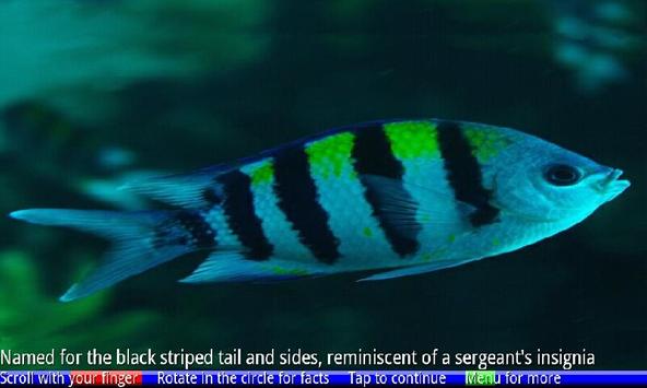 Fish Of The Coral Reef 2 Free For Android Apk Download