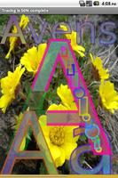 Easy Flower Alphabet  2 FREE Affiche