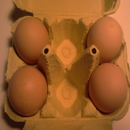 Fractions 1 aplikacja