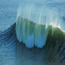 The Past Tense in English 2 APK