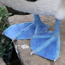 APK Animal Paws and Claws 1 FREE