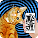 Hypnosis: training cat joke APK