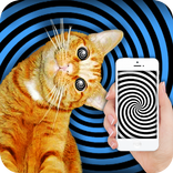 Hypnosis: training cat joke