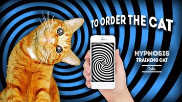 Hypnosis: training cat joke 포스터