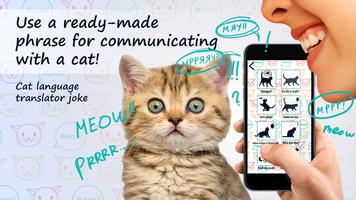 Cat language translator joke bài đăng