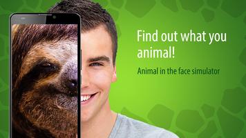 Animal in the face simulator Affiche