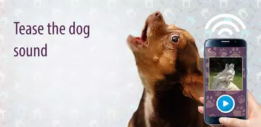 Дразнить собаку звуком