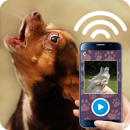 犬の音をいじめます
