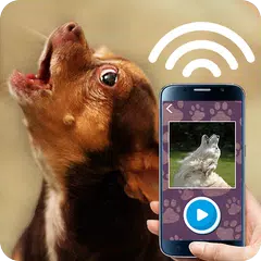 Tease the dog sound APK download