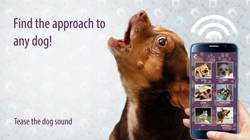 Tease the dog sound 스크린샷 3