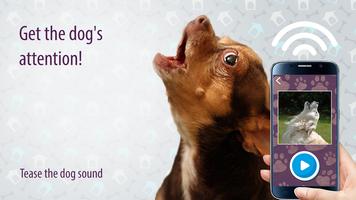 Tease the dog sound 포스터