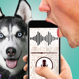 Dog language translator joke biểu tượng