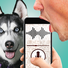 Dog language translator joke icône