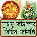 সুস্বাদু কাঁঠালের বিচির রেসিপি-APK