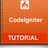 Learn CodeIgniter APK