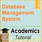 Database Management System 圖標