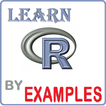 R Programming Examples