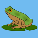 Frog Tantal APK