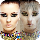APK Animo Face Changer - GIF Maker
