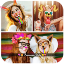 Photo Snap Grid Maker APK