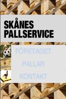 Skanes Pall poster