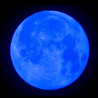 Blue Moon Property आइकन