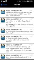 Horse racing mp onebetperday screenshot 3