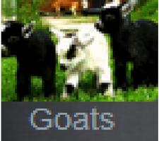 goats BY CLAIRE poster