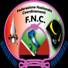 F.N.C.VV.F ícone