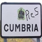 ikon Cumbria Pies