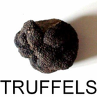 truffels ícone