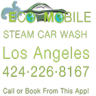 Eco Mobile Steam Car Wash icône