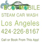 Eco Mobile Steam Car Wash আইকন