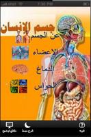 Poster جسم الانسان للاطفال