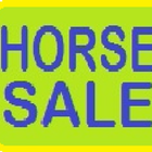 HORSE Sale - Juneau Wisconsin icono