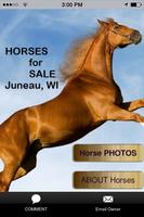 HORSE Sale - Juneau Wisconsin Poster