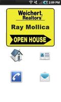 Ray Mollica Realtor الملصق