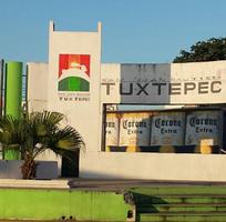 MI TUXTEPEC-poster