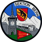 LRS - Sektion Bern icon