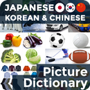 Picture Dictionary JA-KO-CN APK