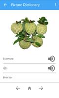 Picture Dictionary KH-EN-VI capture d'écran 2