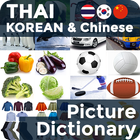 Icona Picture Dictionary TH-KO-CH