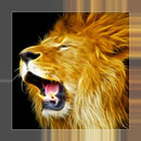 Animal Sounds & Ringtones APK