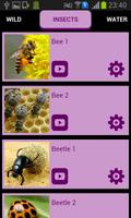 Animal Sounds & Ringtones screenshot 2