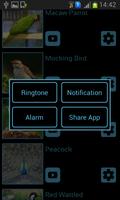 برنامه‌نما Bird Sounds & Ringtones عکس از صفحه